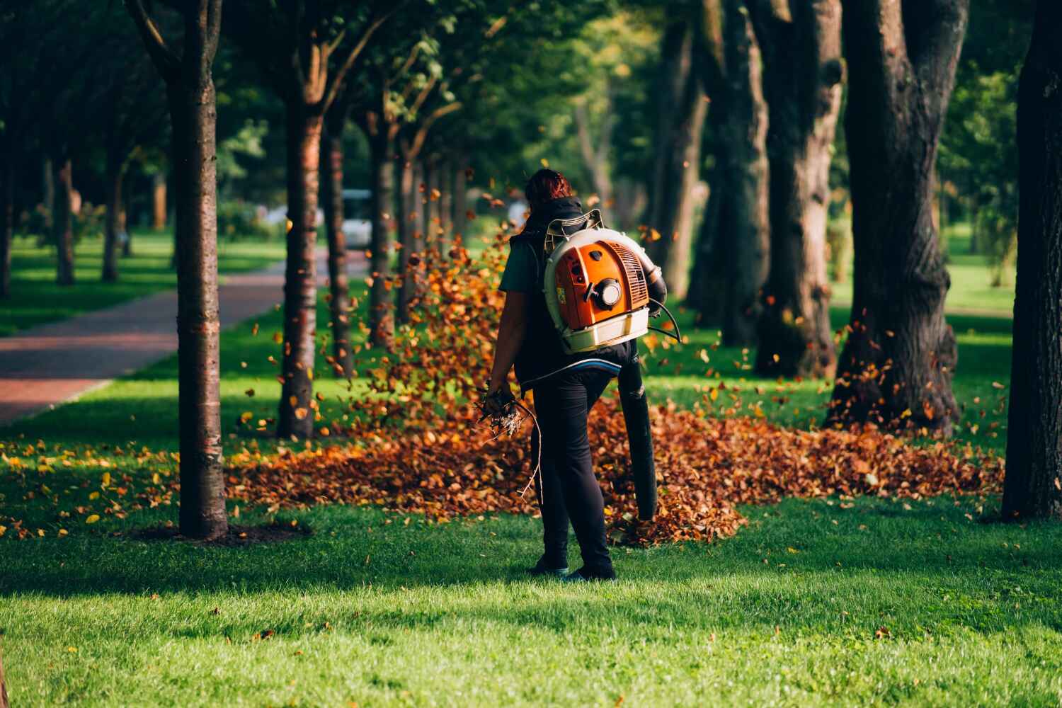 Best Tree Clearing Services  in USA